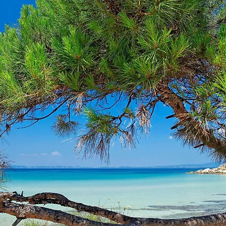 Ikos Oceania ניאה מודאניה